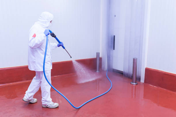 Best Building Exterior Washing  in Crescent City, FL