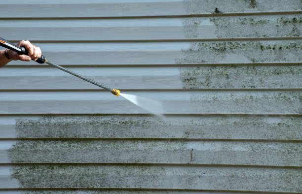 Animal Enclosure Cleaning in Crescent City, FL